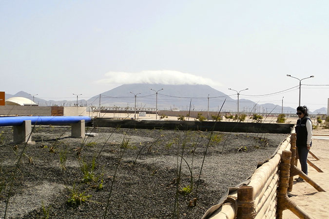 Domus Hogares del Norte