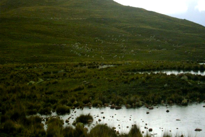 Munic. de Layo